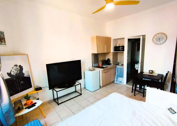 Charming Studio Ideal For Congresses And Holidays Live In Gazagnaire