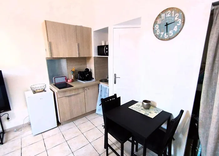 Charming Studio Ideal For Congresses And Holidays Live In Gazagnaire